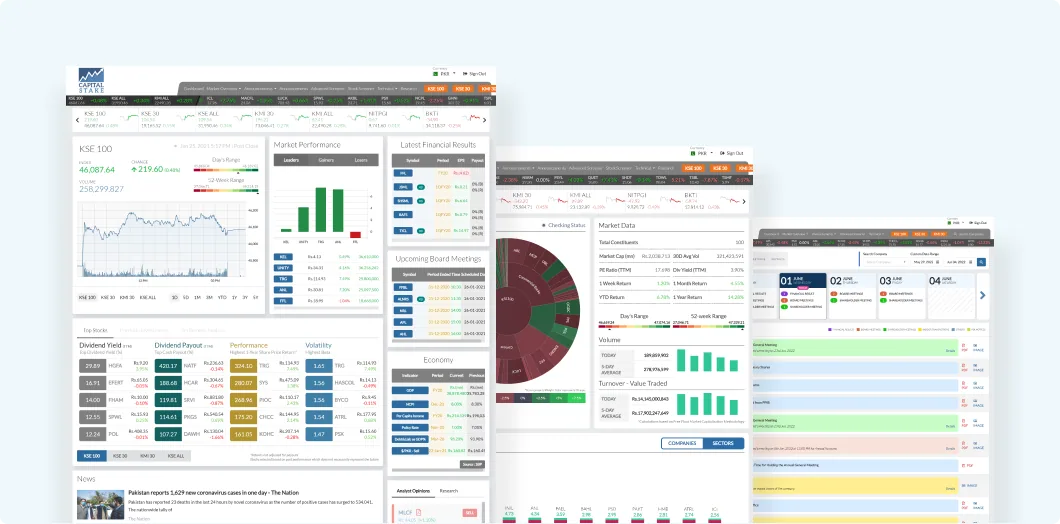 The previous CapitalStake analytics designs