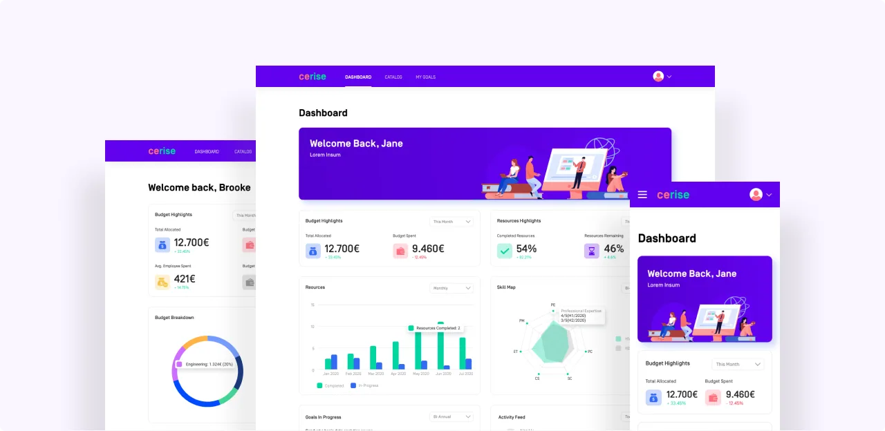 Cerise dashboard designs